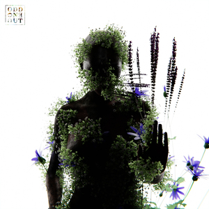 精品人妻一区二区三区视频下架
